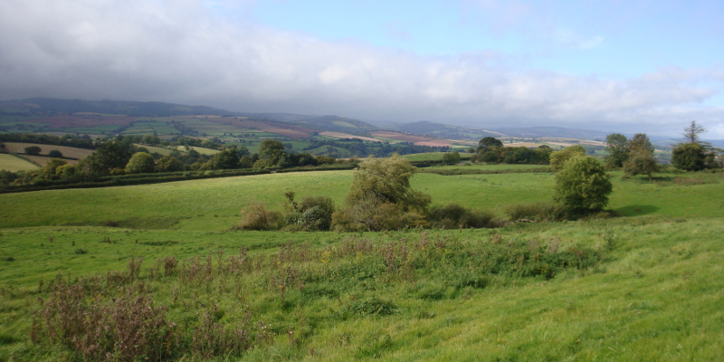 The fields by Quantock Hall, the hills of Exmoor stretching in the distance.