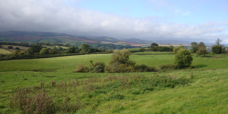 The fields by Quantock Hall, the hills of Exmoor stretching in the distance. 